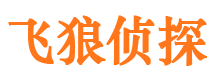 宣汉市私家侦探